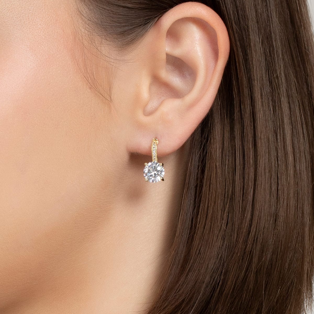 Trendy Zircon Earring Trendy Earring 162402