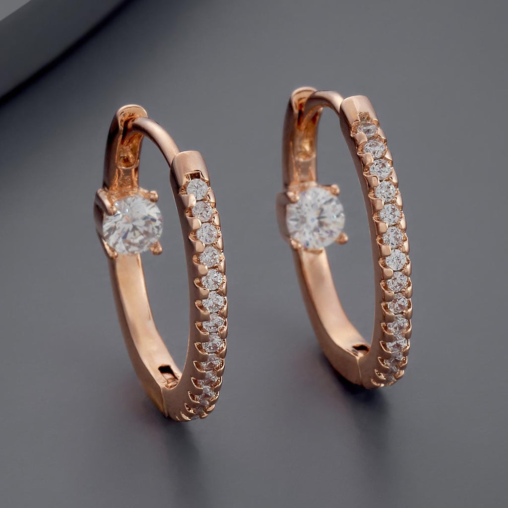 Trendy Zircon Earring Trendy Earring 167698