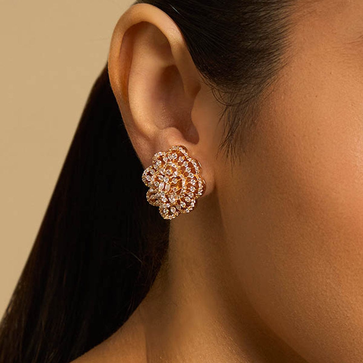 Zircon Earring Zircon Earring 173123